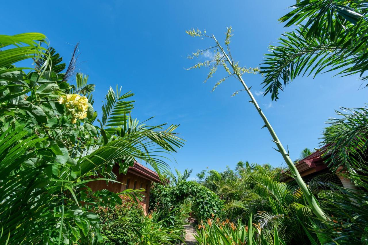 D Canal House Mirissa Luaran gambar
